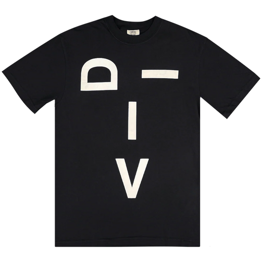 [預購] DIIV 黑T