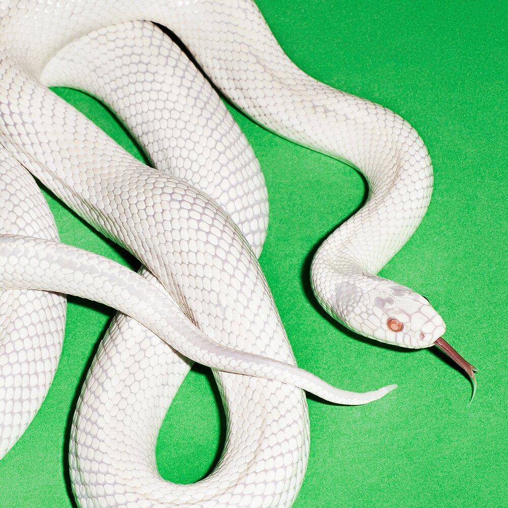 Deftones - Private Music