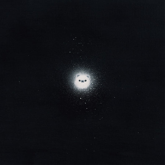 kanekoayano - 石の糸 黑膠唱片封面